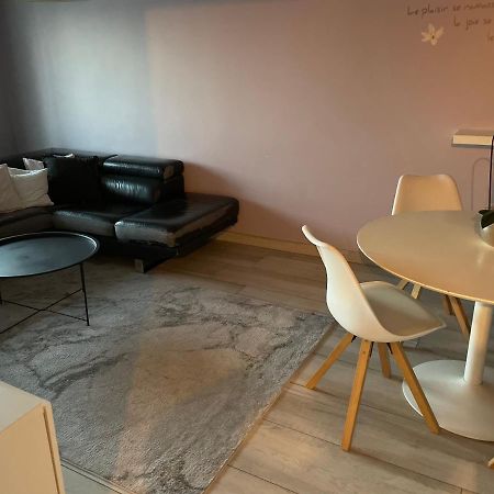 Superbe Appartement Avec Place De Parking Gratuit Estrasburgo Exterior foto